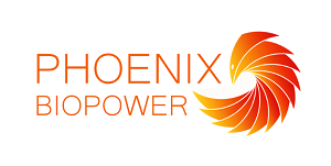 /assets/phoenix-BiOLTrH4.png
